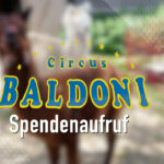 Hilfeaufruf für die Zirkusfamilie Baldoni