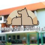 Tier­heim Ful­da ‑Hün­feld e.V Imagefilm